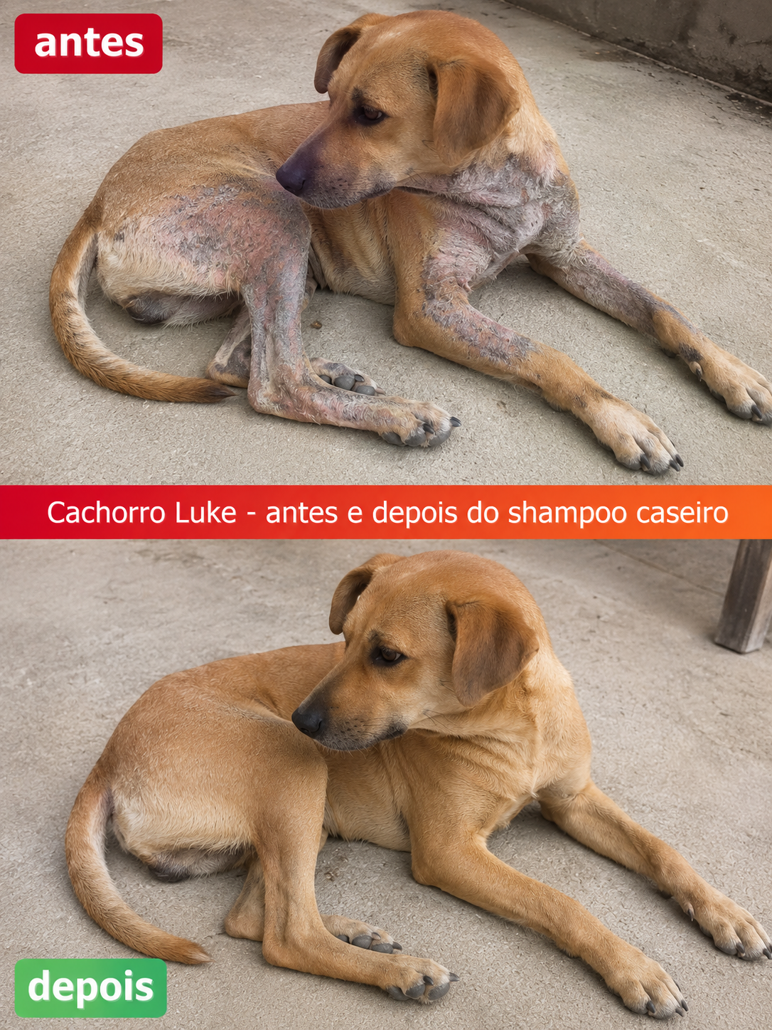 Antes e depois